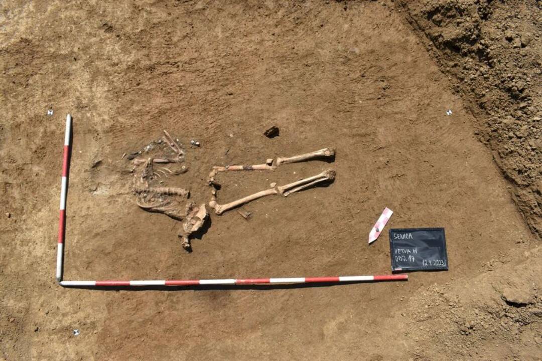 Veľký objav v Senici. Archeológovia našli ostatky vojaka Tretej ríše