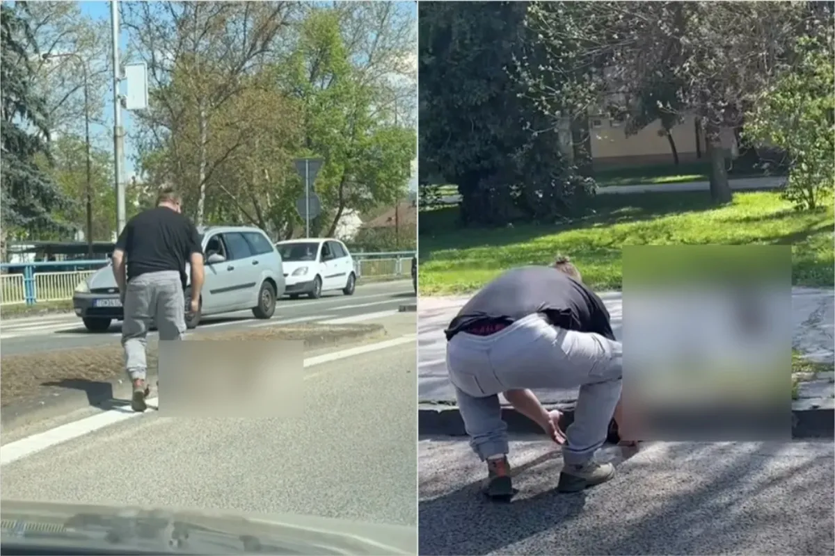 VIDEO: Vodič v Piešťanoch zastavil premávku na kruháči. Neuveríte, komu pomáhal, za čo získal vlnu pochvaly