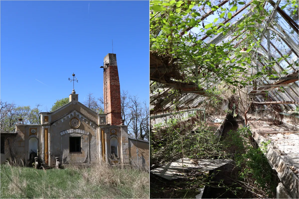 Pomôžte oživiť historické skleníky v Zámockej záhrade, kedysi sa tam pestovali ananásy. Hlohovec hľadá dobrovoľníkov