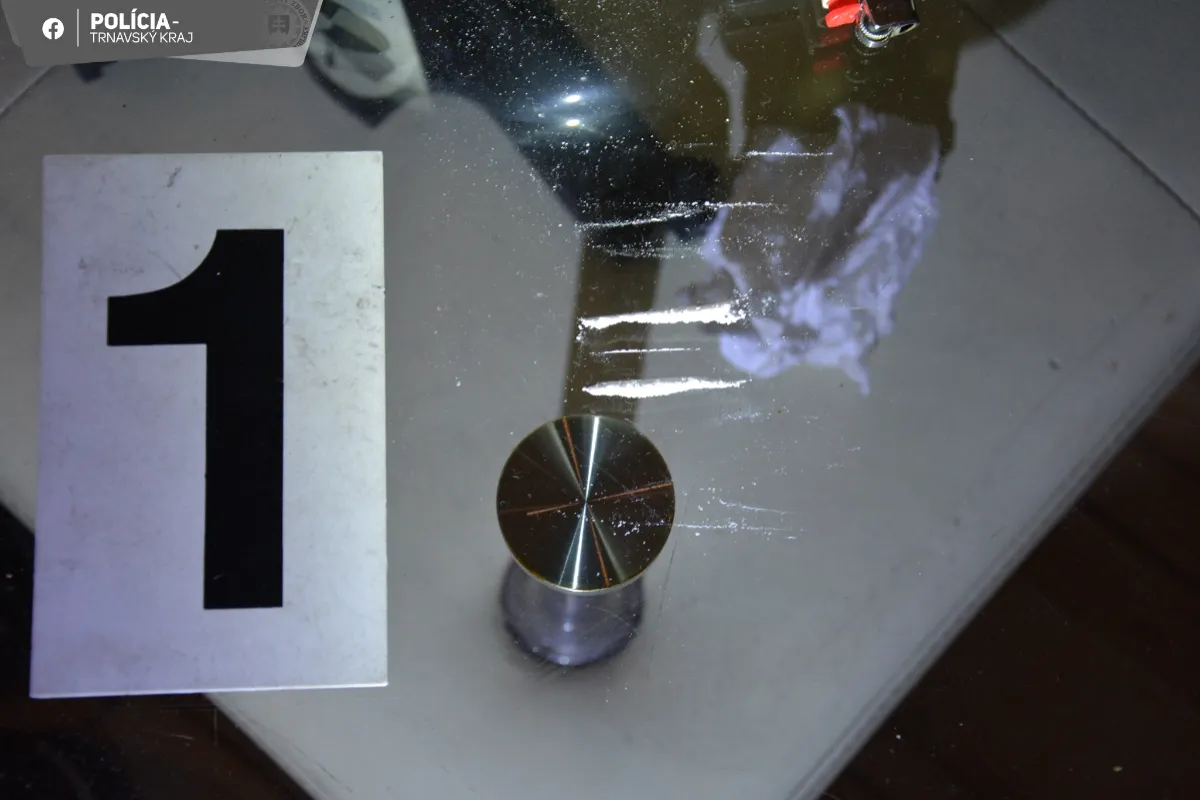 FOTO: Policajti počas akcie Netvor zadržali v Galante muža podozrivého z drogovej činnosti