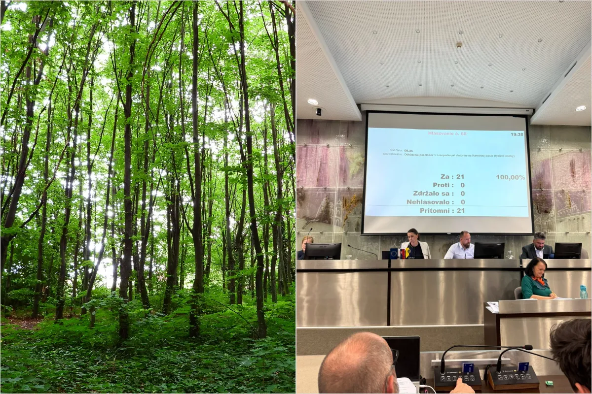 FOTO: Lesopark pri Kamennej ceste prejde po rokoch opäť do rúk mesta. Čo na to Trnavčania?