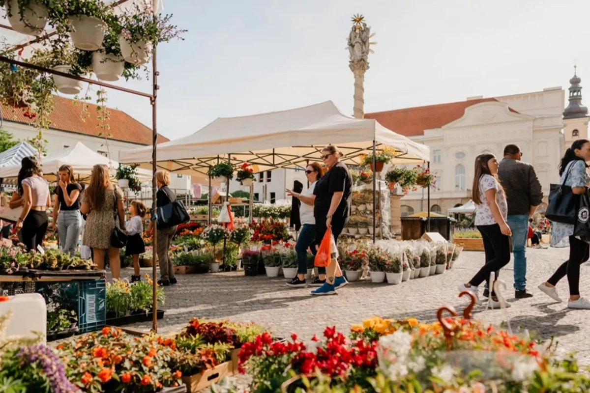 Vo štvrtok v Trnave začína najväčší mestský kvetinový festival Májový kvet. Ponúkne aj poriadne pestrý program