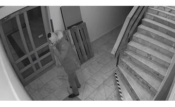 VIDEO: Kamera zachytila zlodeja v hoteli v Dunajskej Strede, ukradol televízor, lampy a bielizeň