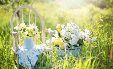 Mesto Trnava ponúka obyvateľom dotácie na úpravu predzáhradok, požiadať o ne môžete do 15. mája