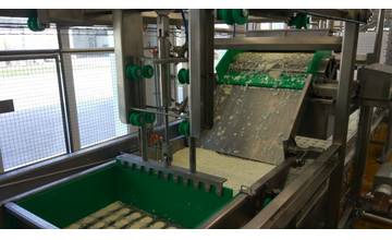 Spoločnosť Agro Tami otvorila modernú syráreň v Senici, plánujú vyrábať aj zrejúce syry camembert