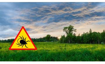 Začala sa jar a s ňou aj kliešťová sezóna, odborníci radia ako sa im vyhnúť a ako ich vytiahnuť