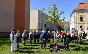 Svetový Deň Zeme si v Galante pripomenuli 20. apríla slávnostným sadením stromu, a to už po 11. raz