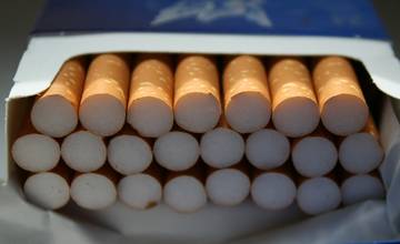 Colníci dnes zlikvidovali viac ako 1,6 milióna krabičiek cigariet, ktoré zadržali v Galante