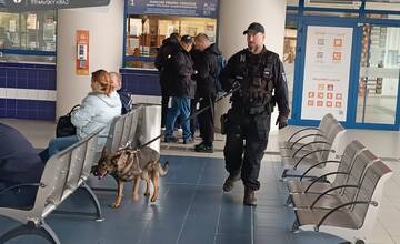 VIDEO: Na Trnavskej železničnej stanici trénovali psov. Vo vyhradených vagónoch hľadali drogy