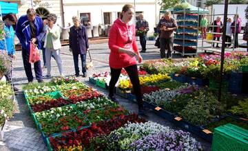 Staňte sa priamou súčasťou farebného festivalu Májový kvet v Trnave