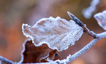 Meteorológovia varujú pred prízemnými mrazmi. V Trnavskom kraji zasiahne tieto okresy
