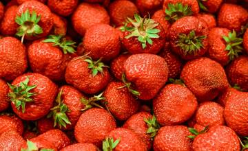 Odborníci varujú pred nebezpečnými jahodami. Môžu vás nakaziť žltačkou