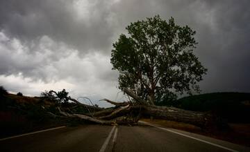 Silný vietor v Trnavskom kraji si vyžiadal 13 výjazdov hasičov. Vietor lámal stromy vo viacerých okresoch