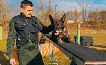 FOTO: Policajný zbor vyzýva chovateľov: Kúpime psy do výkonu služby