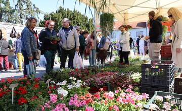 Obyvateľov mesta Hlohovec pobúril program na Dni kvetov. Vulgarizmy a nadávky, toto by sa podľa nich nemalo diať