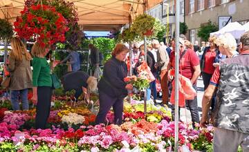 FOTO: V Trnave sa konal Májový kvet 2024. Mesto ožilo farbami, vôňou kvetov a plným Trojičným námestím ľudí