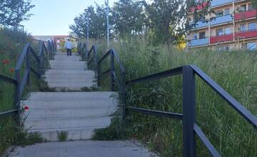 Na nepokosenú trávu sa sťažujú aj v Trnave. Siaha vyše pása, je skvelým spúšťačom kliešťov, píšu ľudia