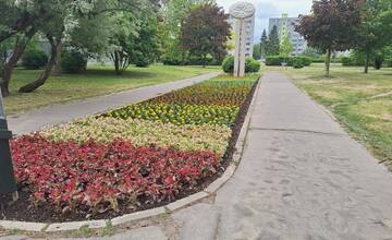 Trajan v Piešťanoch skrášľujú posadené nové kvety. Obyvatelia chvália šikovných ľudí, apelujú však na psičkárov