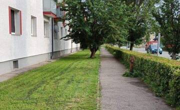 Trnavčania sa na vysokú trávu už nemôžu pozerať, začali ju pred bytovkami kosiť sami. Podľa niektorých je to normálne