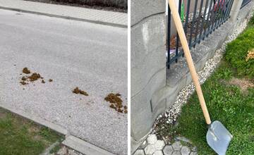 VIDEO: Šamorínčanku nahnevali konské výkaly na ceste. Pred bránu dala lopatu, čo na to ľudia?