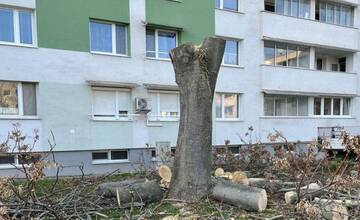 FOTO: Z Trnavy zmizli suché a poškodené stromy, opadané lístie a odpadky