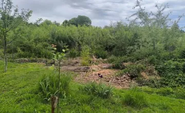 FOTO: Z rybníka pri záhradách v Trnave sa stala džungľa, miestni volajú po jeho náprave