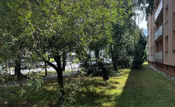 Zo zelených sídlisk má zmiznúť zeleň. Nahnevaní Trnavčania sa búria proti plánovanej cyklotrase