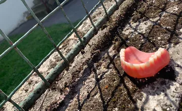 V Piešťanoch niekto stratil protézu, kuriózny nález pobavil obyvateľov. Niekomu spadla sánka, smejú sa miestni