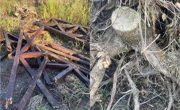 Na zelenú skládku v Šintave niekto vyhodil staré drevo i korene stromov. Toto už naozaj nie, zúri starostka obce