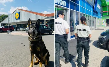 Policajti v Trnavskom kraji preverili vyše 200 prevádzok, odhalili krádeže aj pochybenia bezpečnostných služieb