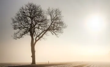 Šoféri by mali zvýšiť opatrnosť, ranná hmla v Trnavskom kraji zníži dohľadnosť, meteorológovia vydali výstrahy