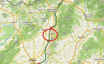 Piešťanci bojujú o život plachého psíka, kríženec už týždeň ohrozuje nielen seba, ale aj vodičov