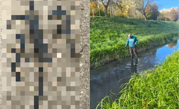 VIDEO: Z dna Trnávky lovci železa vytiahli zaujímavé predmety. To, čo sa im podarilo vytiahnuť prekvapilo aj miestnych