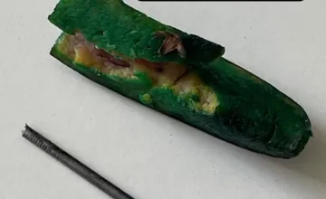 Psičkári pozor, do trávy na sídlisku v Trnave niekto schoval párok s klincom. Majte svojich psov pod dohľadom