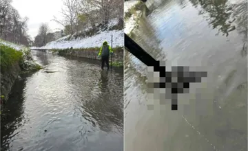 FOTO: Magnetfisheri vytiahli z Trnávky nečakaný a nebezpečný nález. Čistenie rieky museli kvôli zásahu polície prerušiť