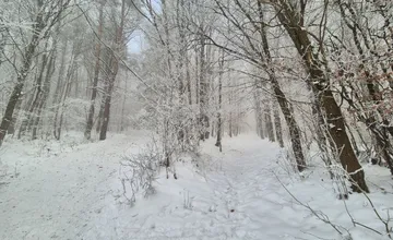 Pred koncom roka sa konečne dočkáme snehovej nádielky. V týchto oblastiach napadne najviac snehu