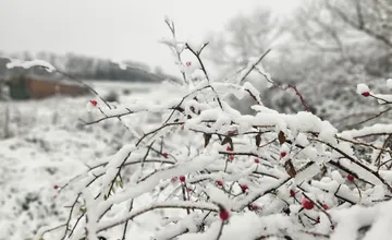 Trnavský kraj čaká sneženie, ako to bude vyzerať počas Silvestra a po Novom roku?