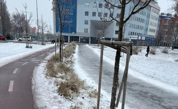 Cyklochodníky v Trnave sú odhrnuté, na chodníku sa človek môže zabiť. Situácia s poľadovicou rozprúdila vášne