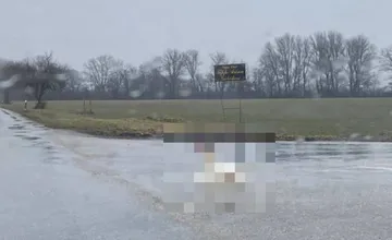 Medzi Gabčíkovom a Bakou prekvapuje vodičov nečakaný účastník premávky