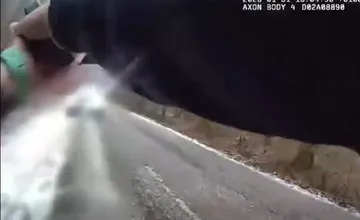 VIDEO: Opitý vodič unikal policajtom, ohrozoval vodičov aj chodcov. Nereagoval na výzvy polície ani výstrely