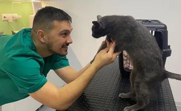 Trnavčanka hľadá veterinára s citom ku zvieratkám. Miestni nešetrili odporúčaniami na skutočných láskavých špecialistov