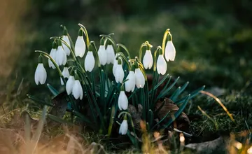 FOTO: V nedeľu prejde Slovenskom teplý front. Začiatkom týždňa sa oteplí, no pozor na výnimky