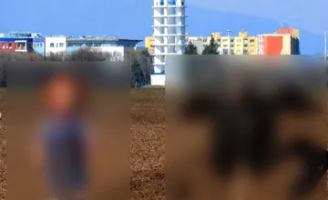 Na trnavskom poli pri Vodárni sa objavili strašidelné bábiky z hororových filmov. Miestnych úkaz zaujal, o čo ide?