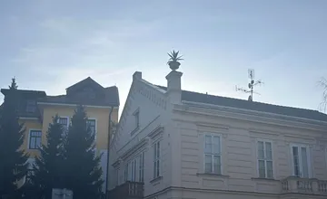 Piešťancov zaujal kvet na streche domu. Je živý alebo umelý a čo má vlastne symbolizovať?