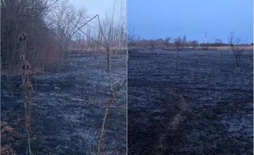 VIDEO: Deväť hektárov suchého porastu v Kamennom mlyne zničil požiar. Takto to tam vyzerá po vyčíňaní ohňa