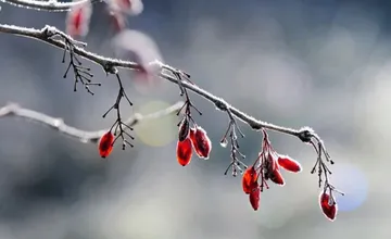 Víkend prinesie do Trnavského kraja ochladenie, bude snežiť?
