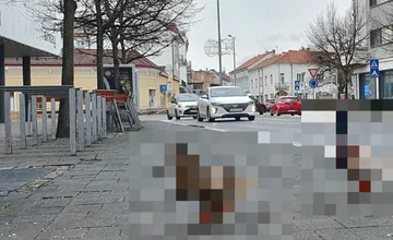 Piešťancovi skrížila cestu v meste nečakaná návšteva. Prekvapivá dvojica spríjemnila deň aj ďalším obyvateľom