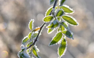 Počasie po Veľkej noci prinesie ochladenie, SHMÚ varuje v Trnavskom kraji dokonca pred mrazmi 