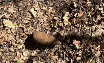 FOTO: Nebezpečný nález v Holíči zalarmoval políciu. Žena však kontaktovala hliadku nesprávne, na toto si dajte pozor