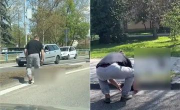 VIDEO: Vodič v Piešťanoch zastavil premávku na kruháči. Neuveríte, komu pomáhal, za čo získal vlnu pochvaly